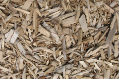 biomass boilers Luib