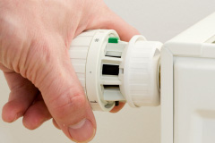 Luib central heating repair costs