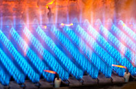 Luib gas fired boilers
